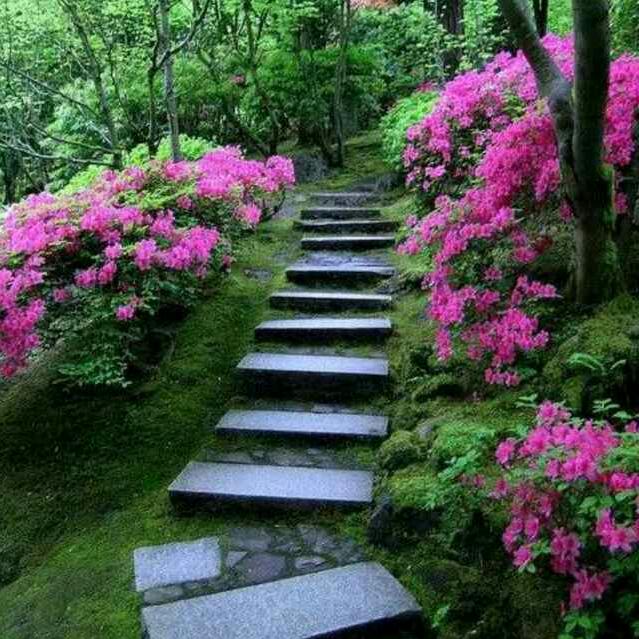 寂寞烟火
