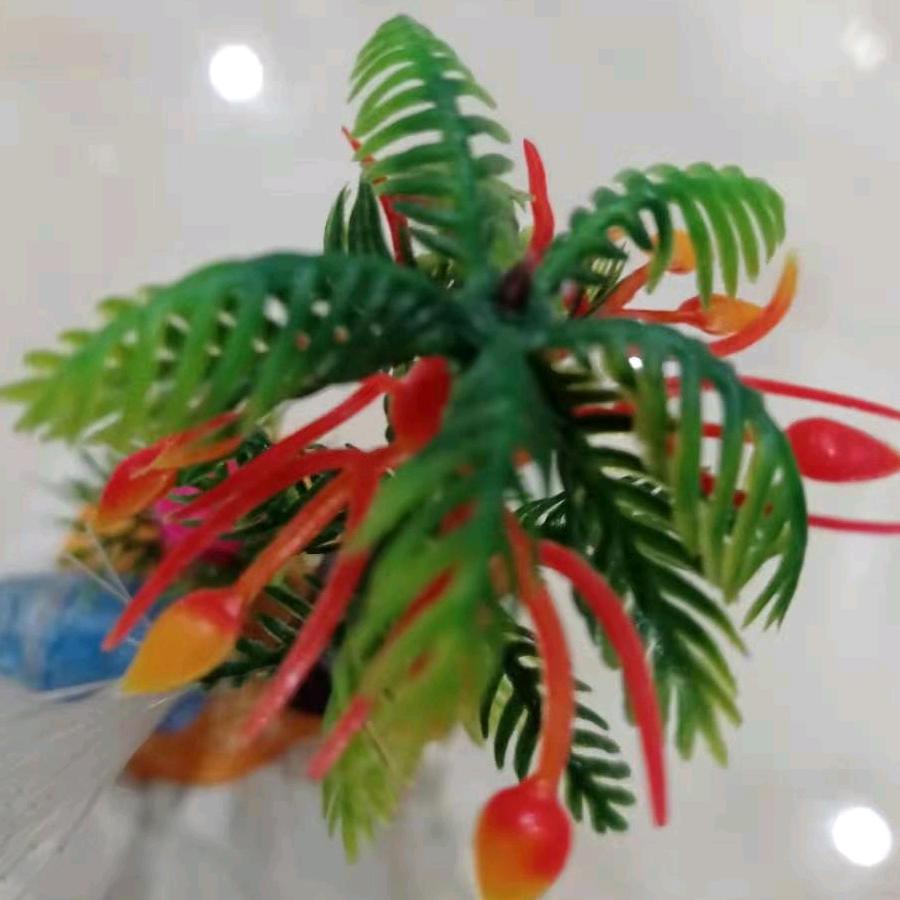 月夜