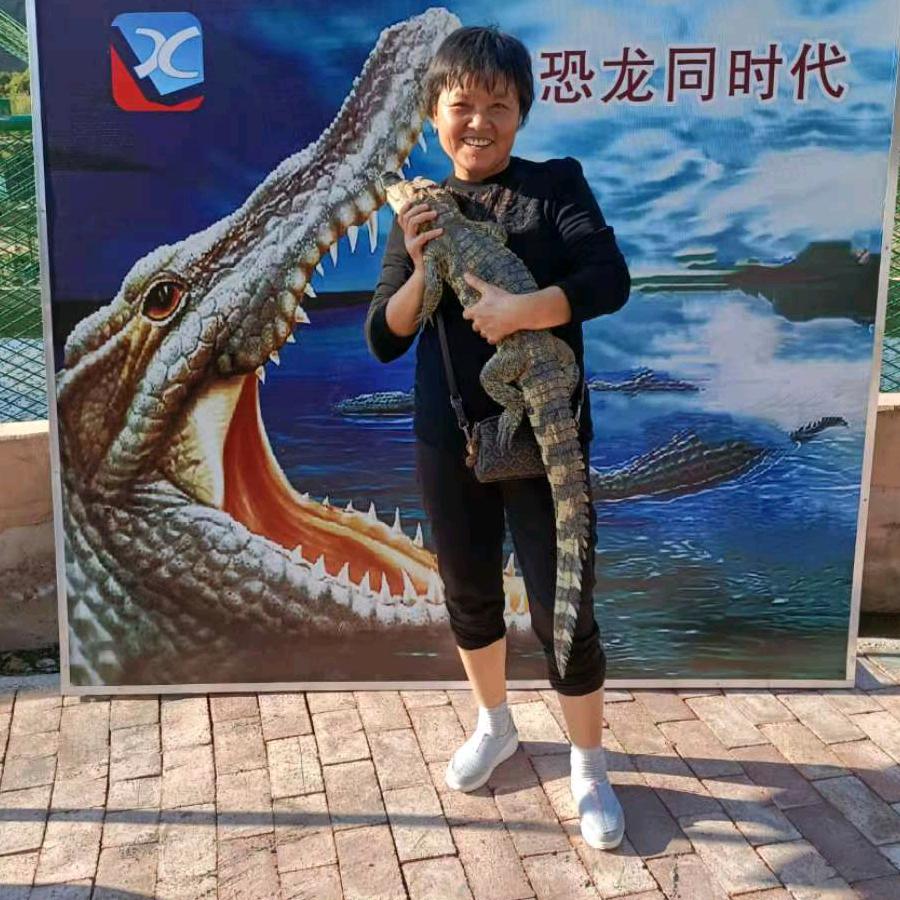 明凤