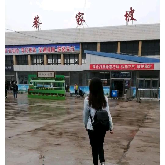 王兰女士