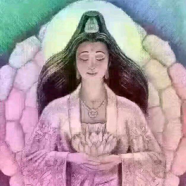 园来是宠（使出）🦊