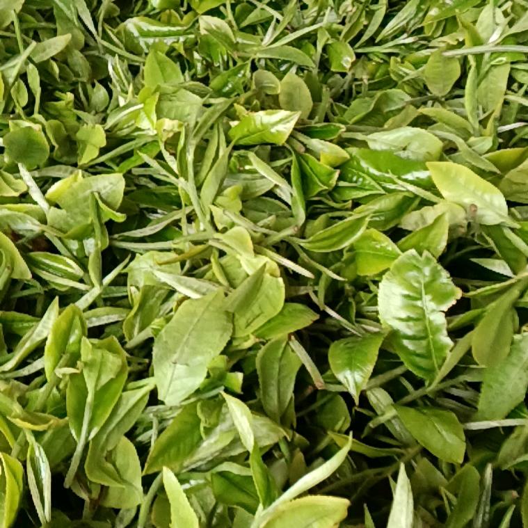 简单的幸福