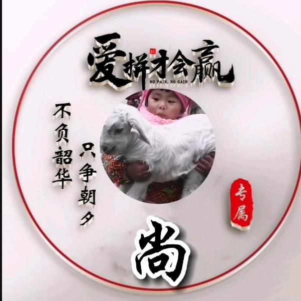柠檬不萌