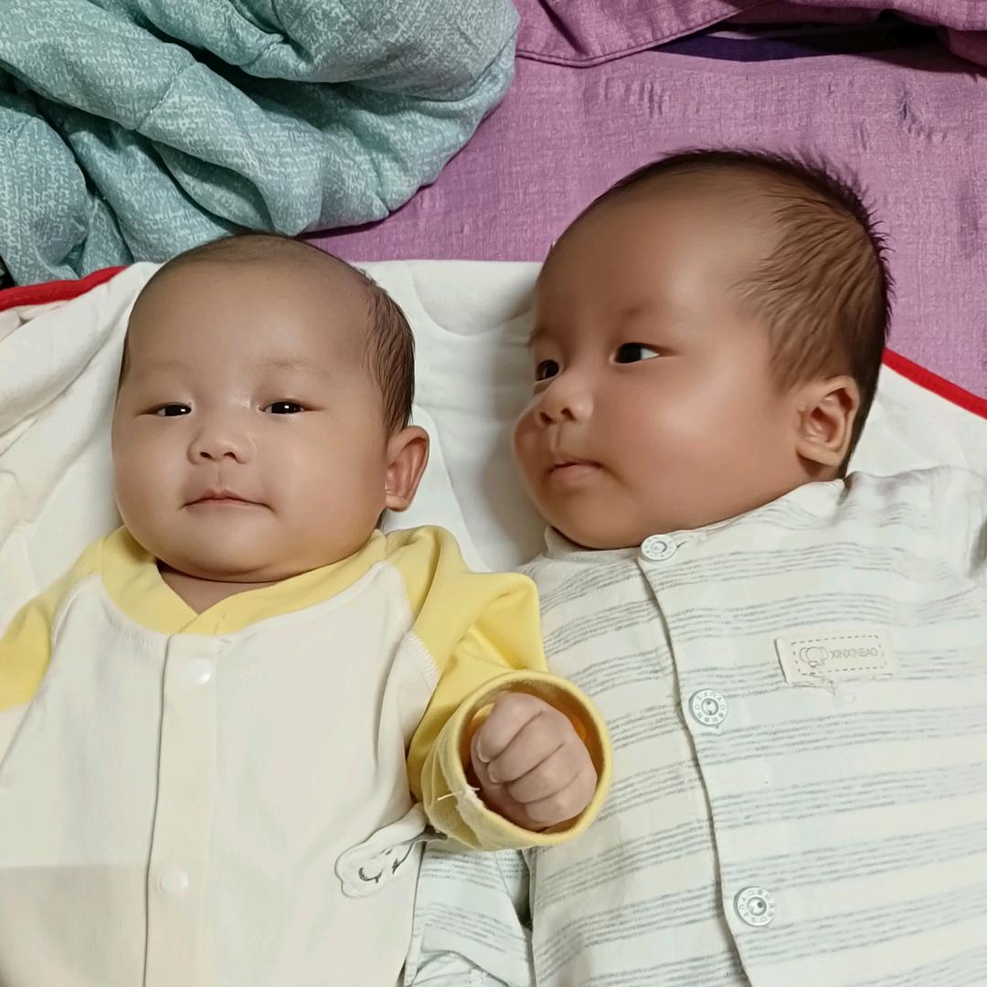 名爵门业