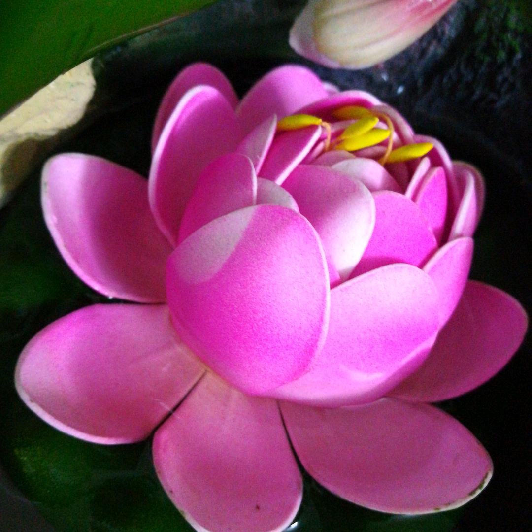 周福