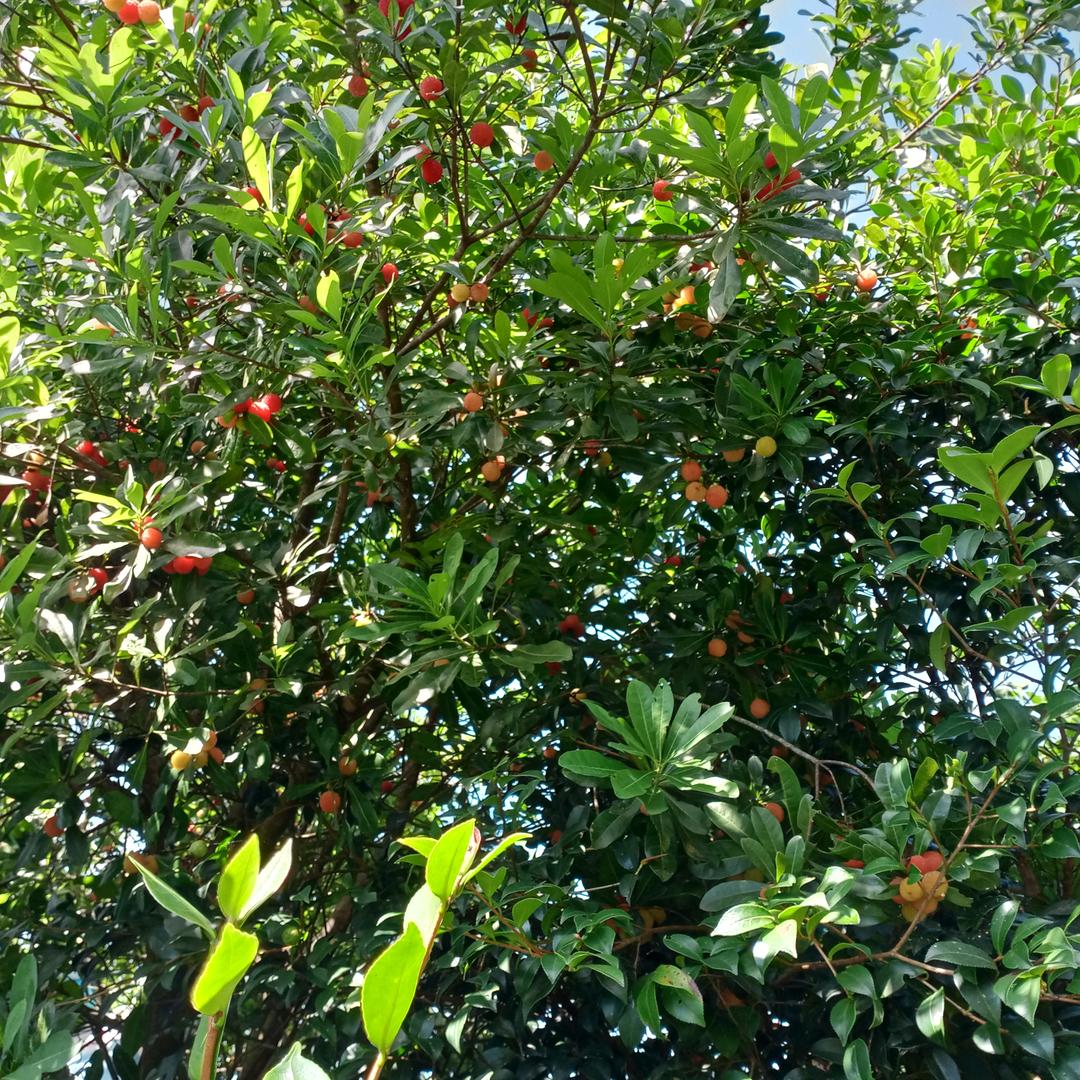 南子门高速公路