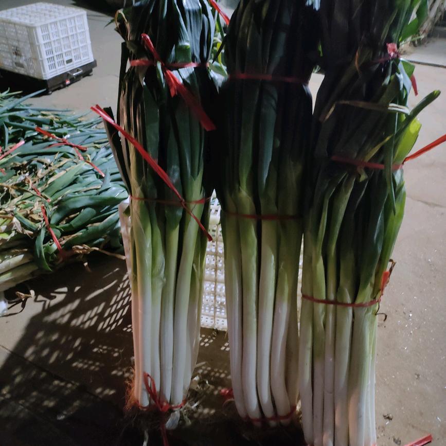 刁镇索家小市上一个卖菜的