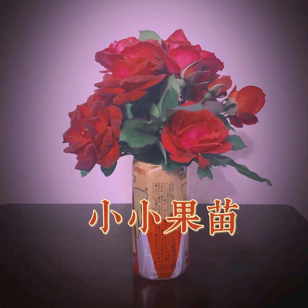 奇联农果树苗木专卖店