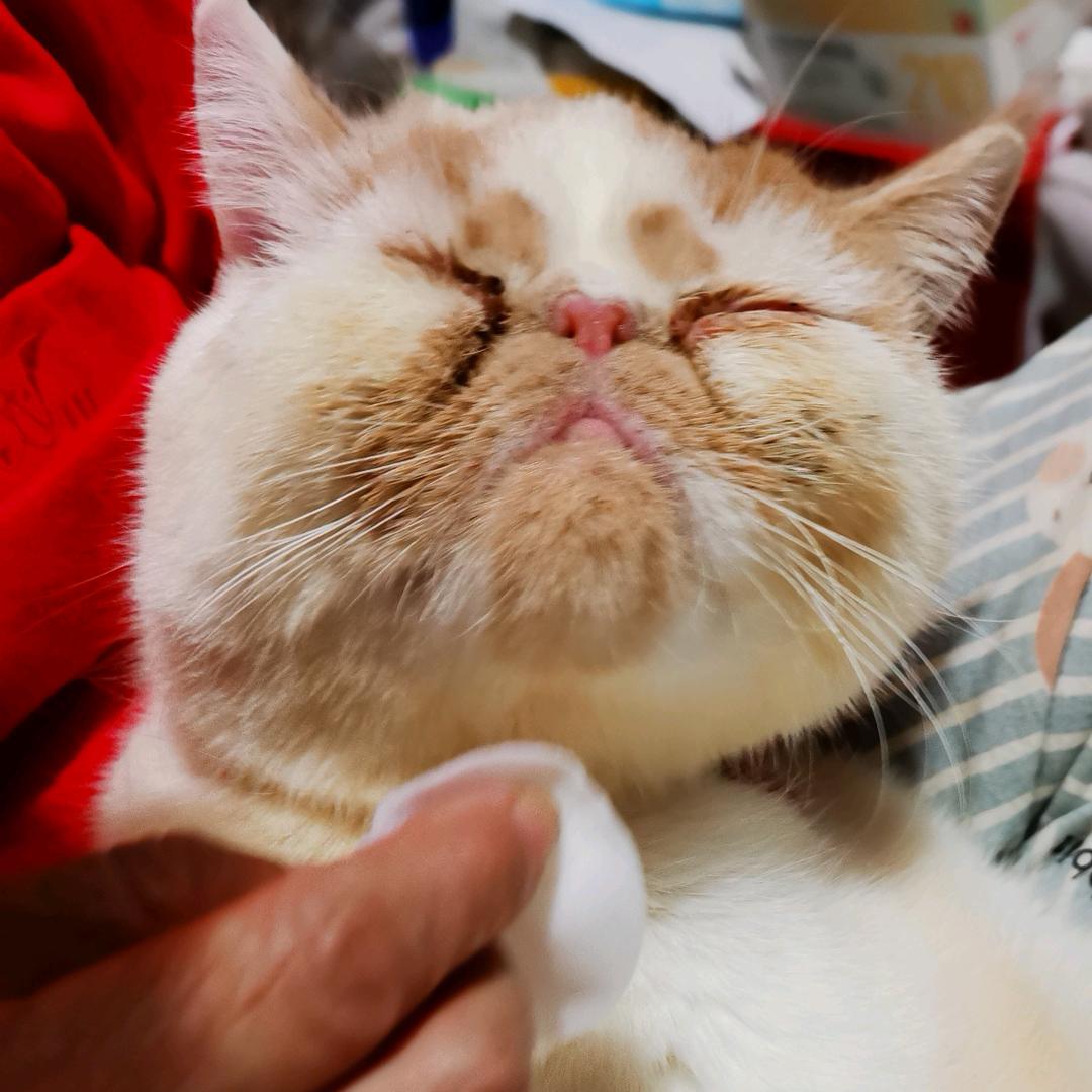 幸福一家亲