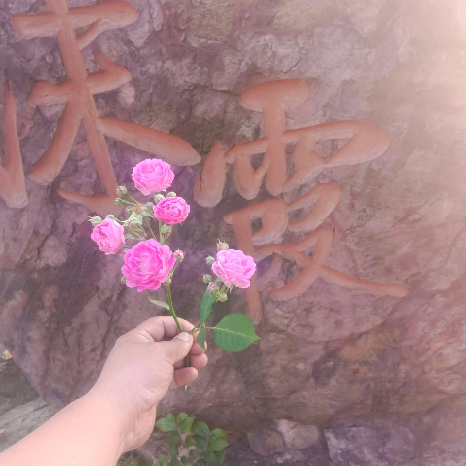 五月最美好的时光