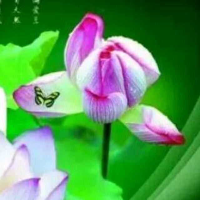 我想回到我青春