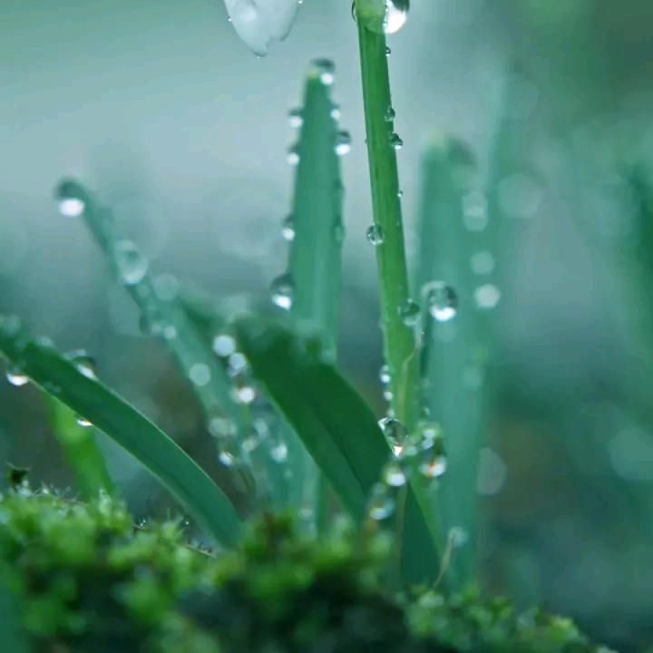 用户5445777005648