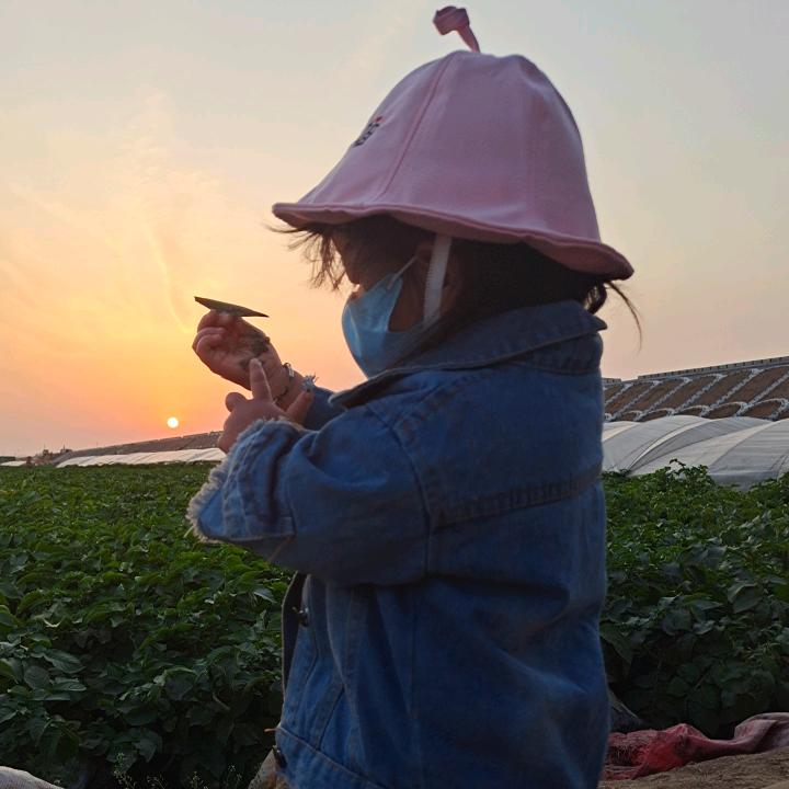 小晴晴吖🦁🦈