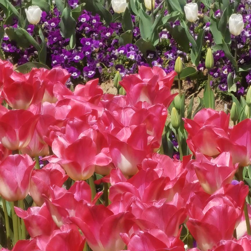 雷创磁业有限公司（童）