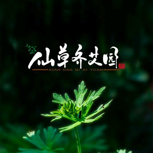 齐艾健康文化产业园