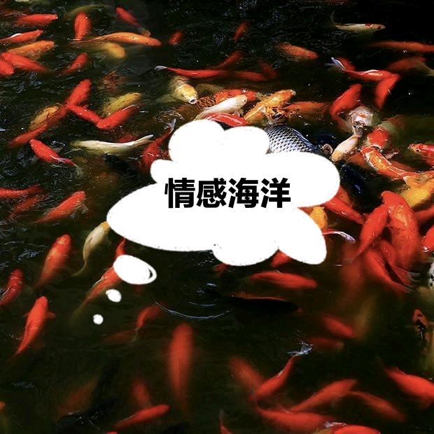 鱼乐世界