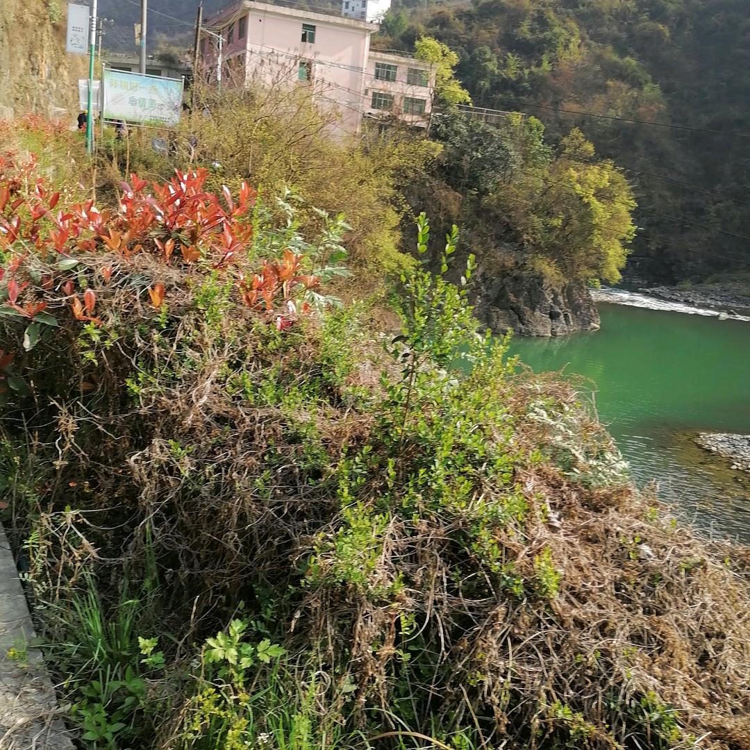 一梦惊醒