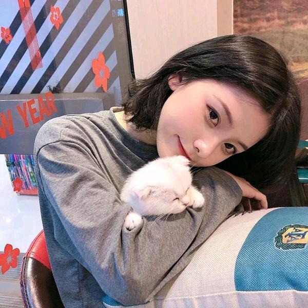 小文好物精选