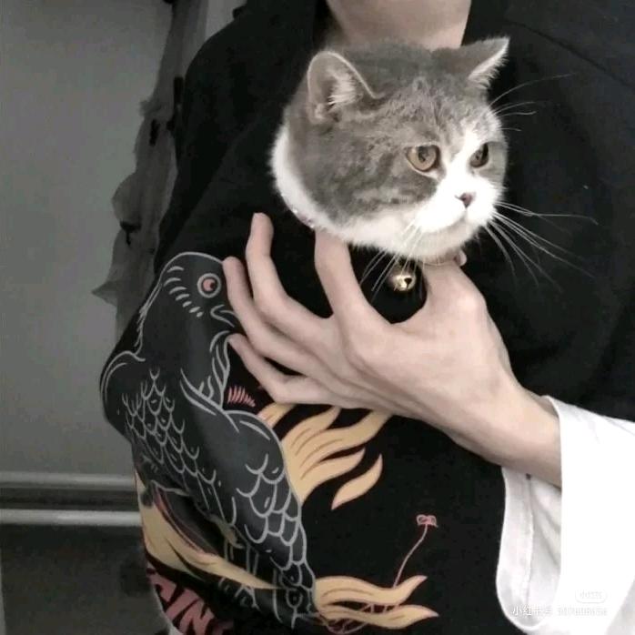 神马未英