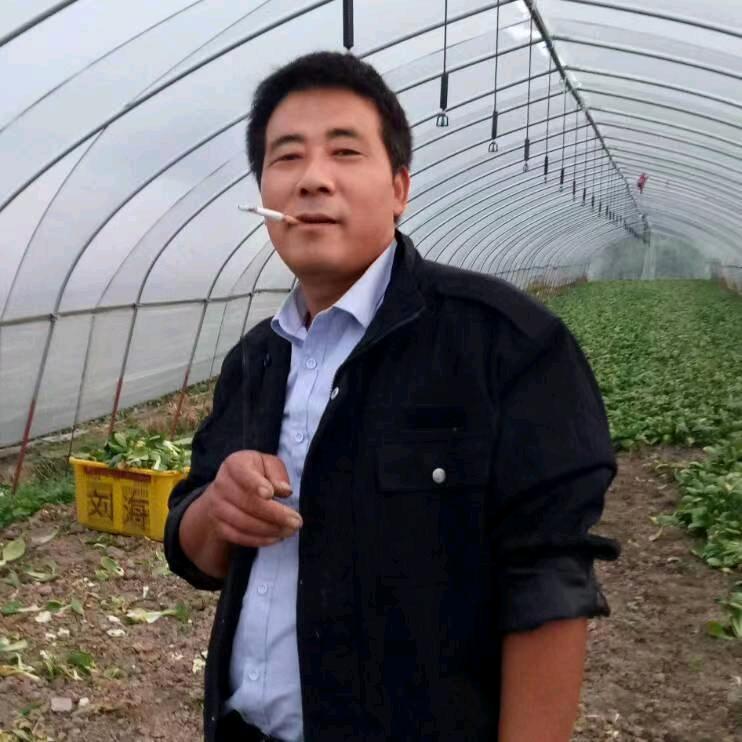六安   霍邱    刘海