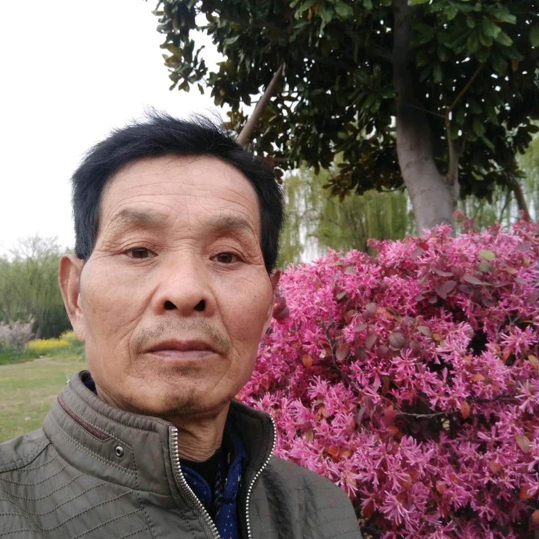 自由哥