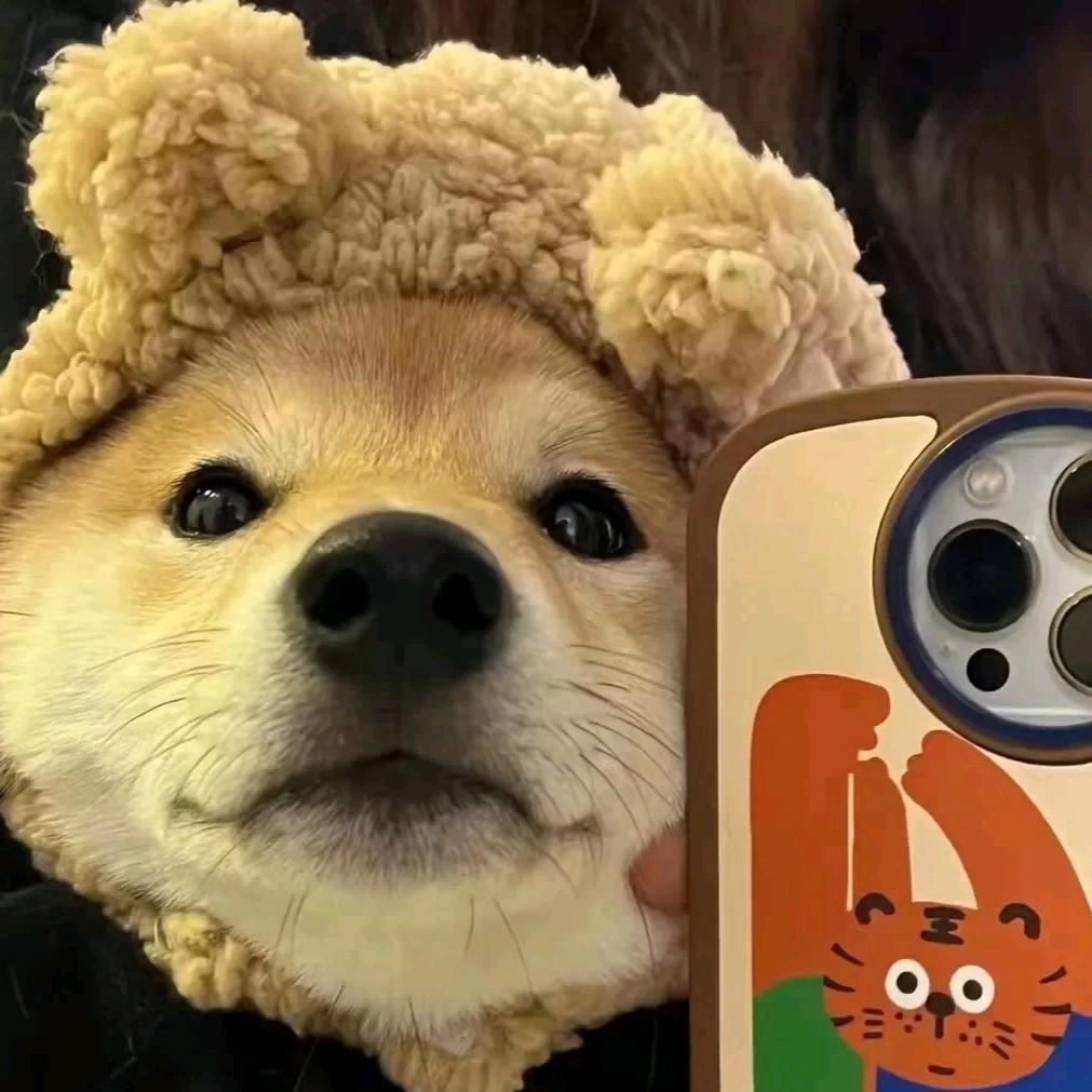渊弥妄