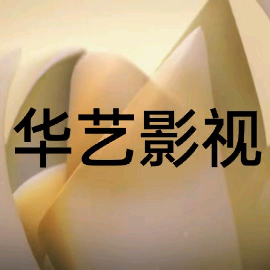 华艺影视