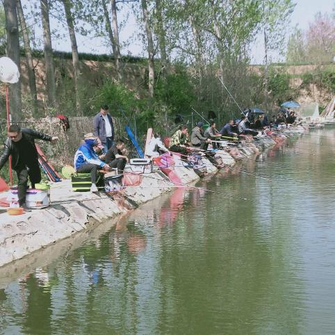 登封市龙泉鱼塘（专业拉鱼送鱼回收鱼）
