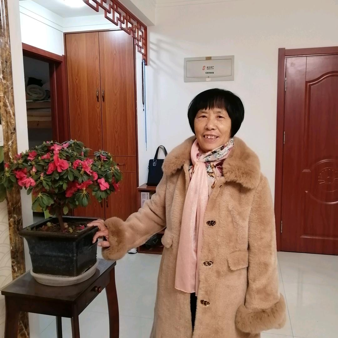 桂花飘香