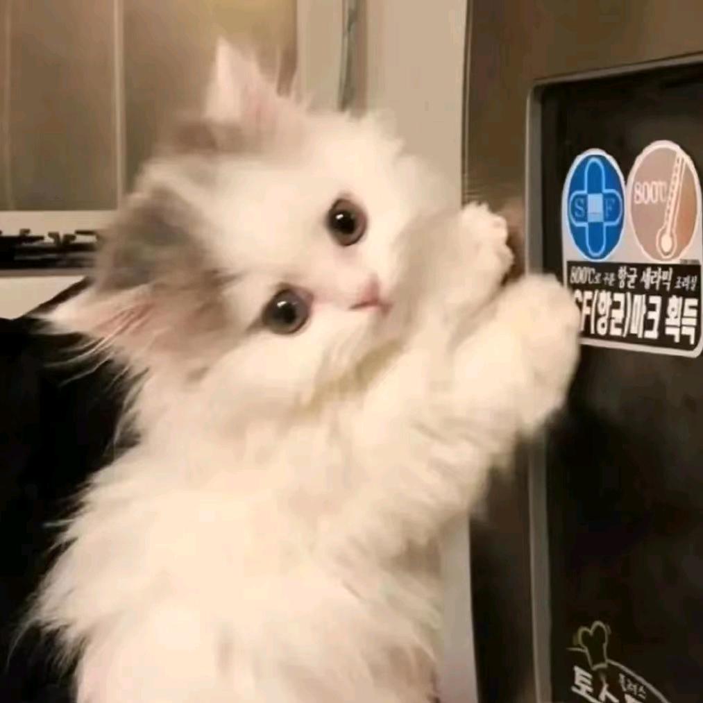 小米