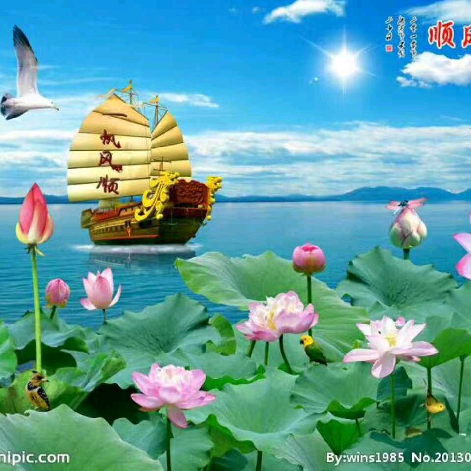 木锦花