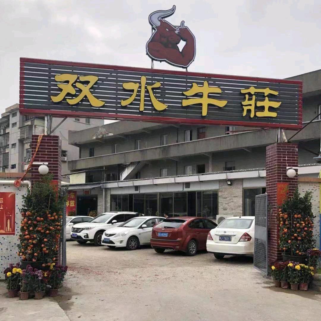 双水牛庄