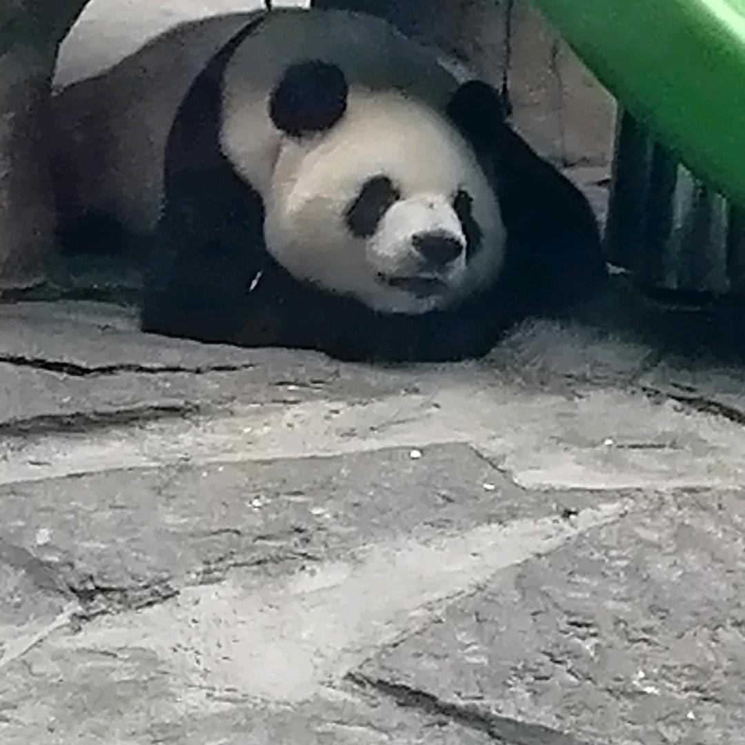 昨天