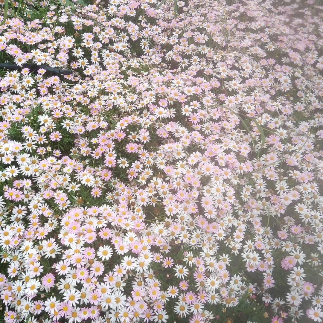 幸福一家！٩(￥A￥)۶恭喜发财