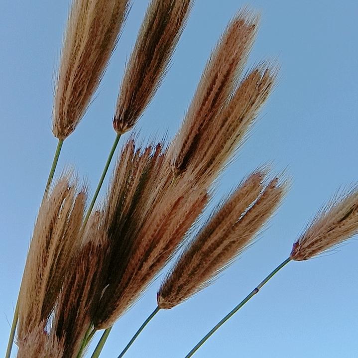 心随我动