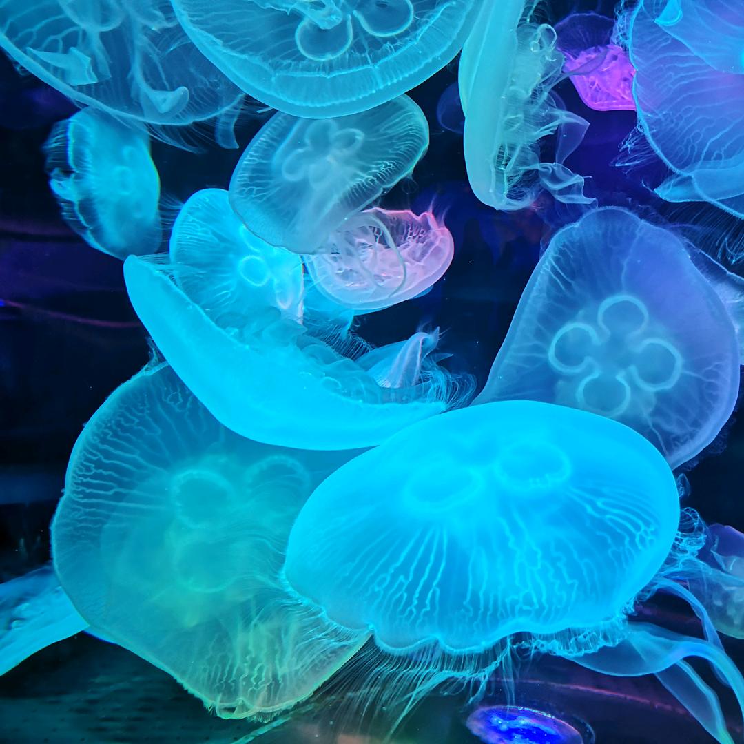 追忆似水年华…