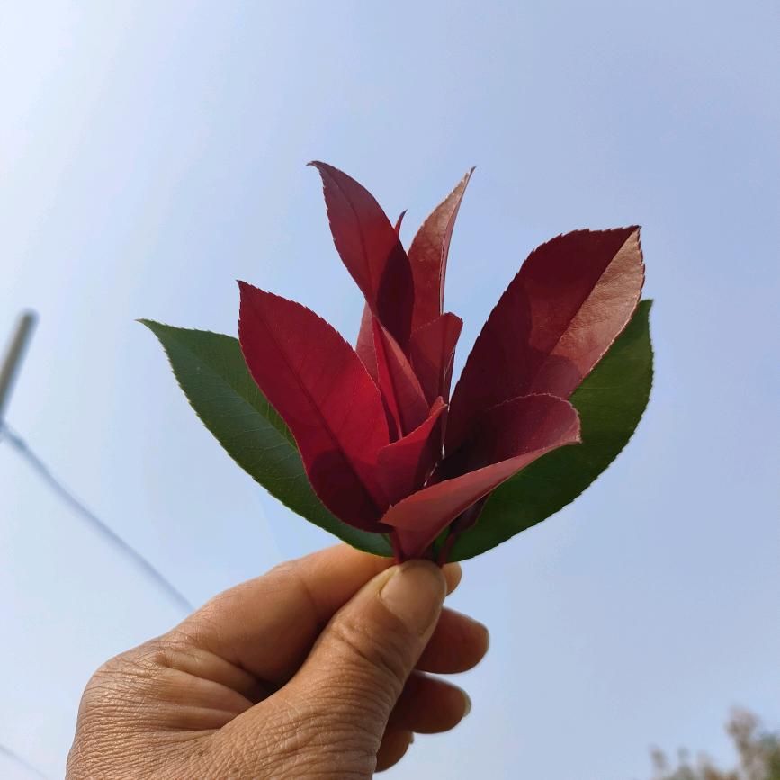 世态炎凉