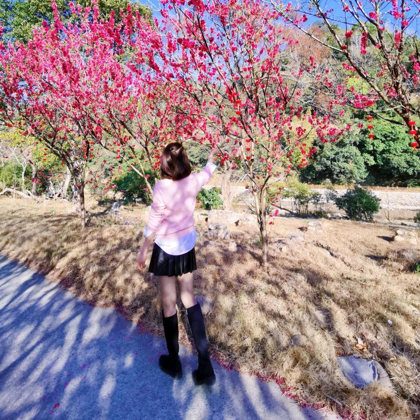 云水禅心-