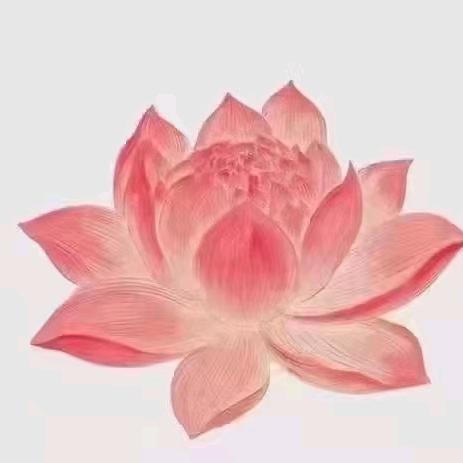 次第花开 ⁷¹⁸