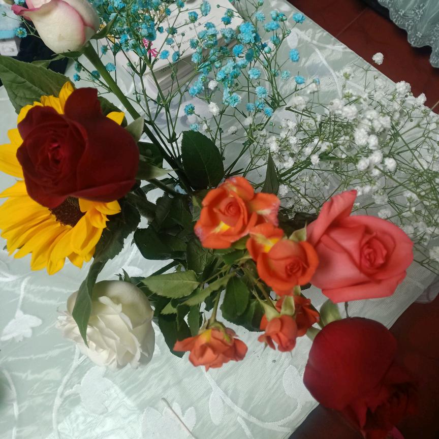 芳芳