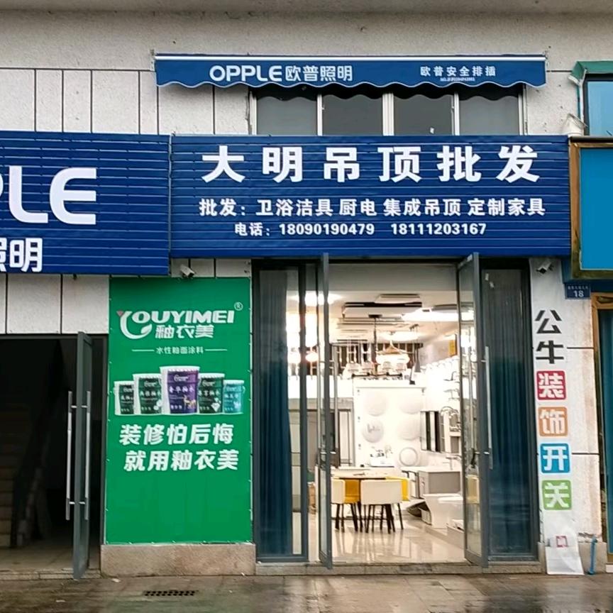 泸州大明吊顶批发，欧普照明