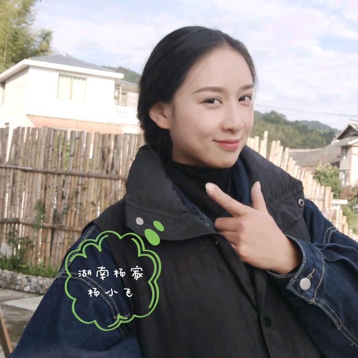 湖南杨家杨小飞