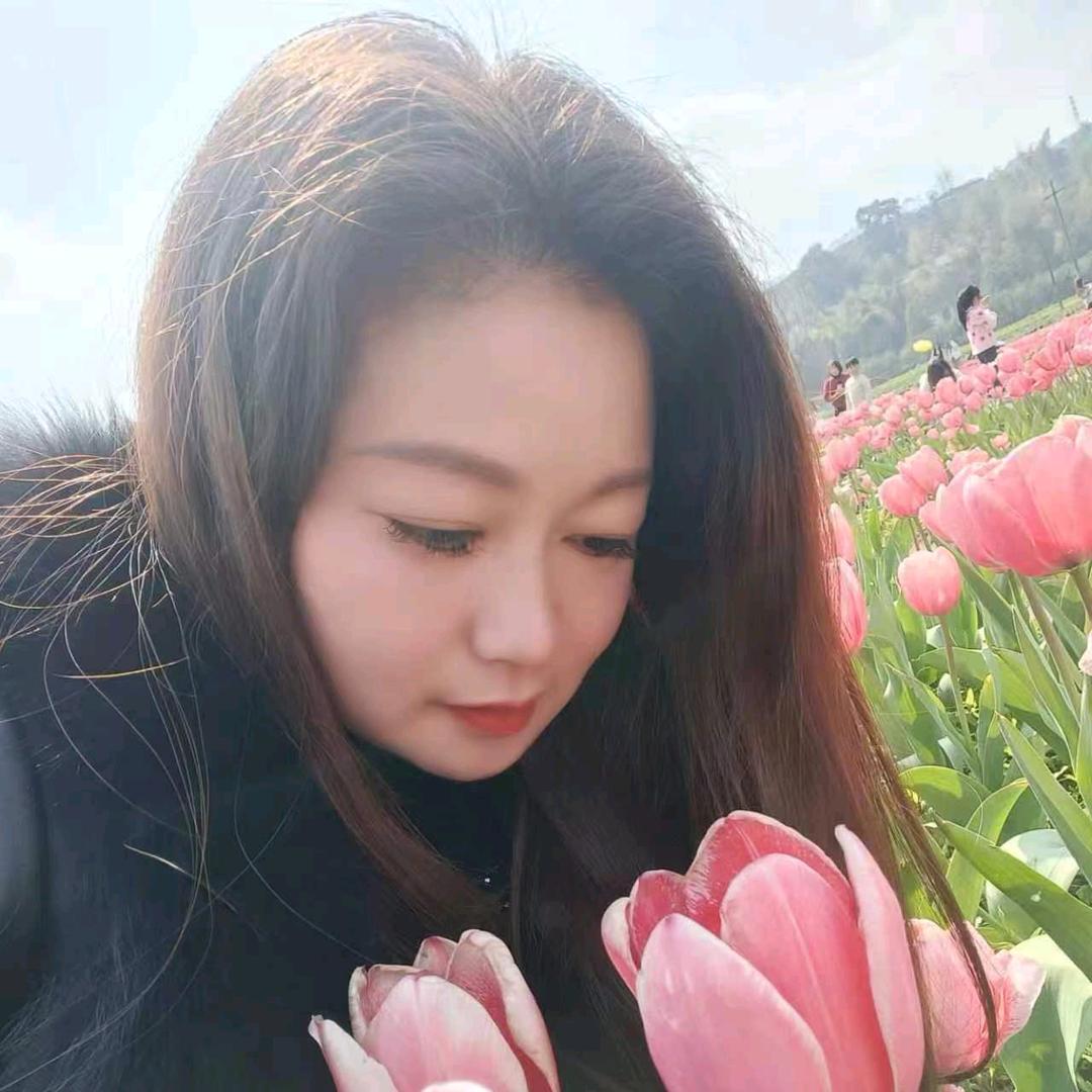漂亮的蝴蝶