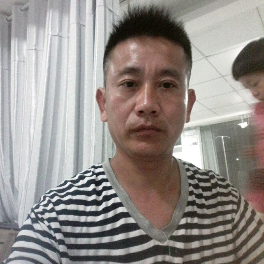 颍上县陈桥抓鸡队，七座车出租