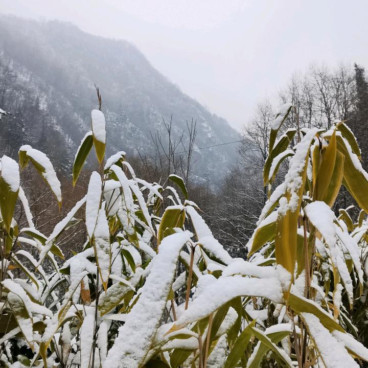 珍  惜