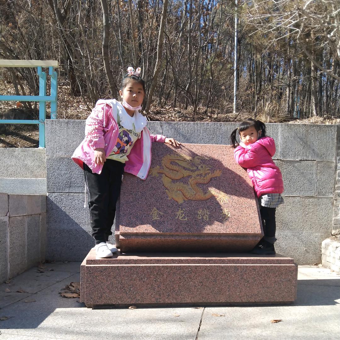 小张带你识百草