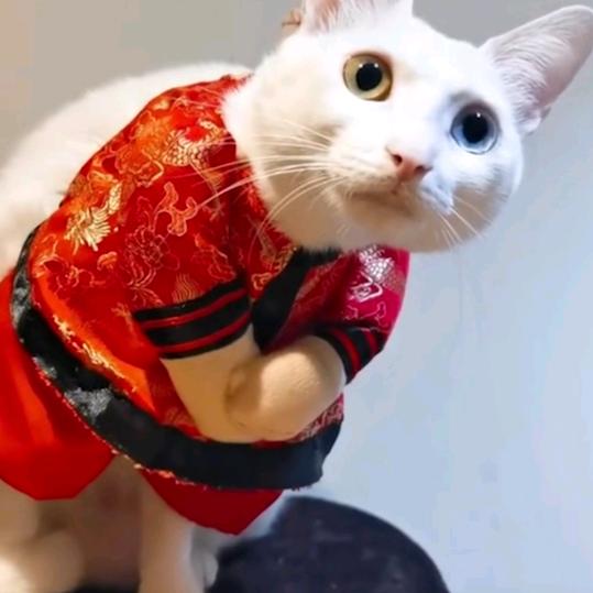 桃花源
