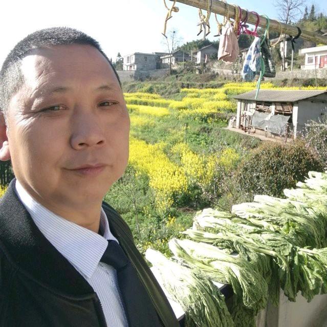 AAA地下工作者