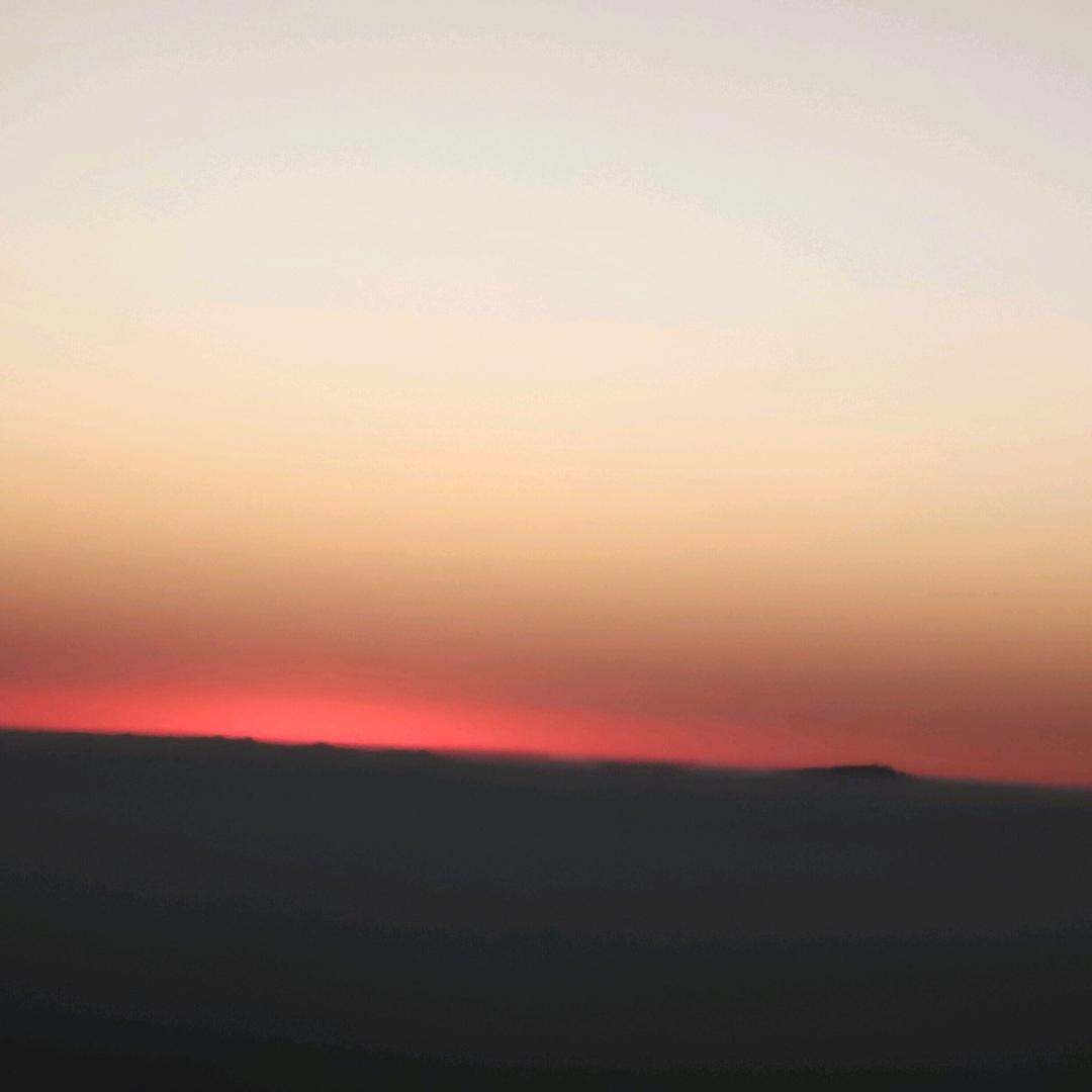 钢哥