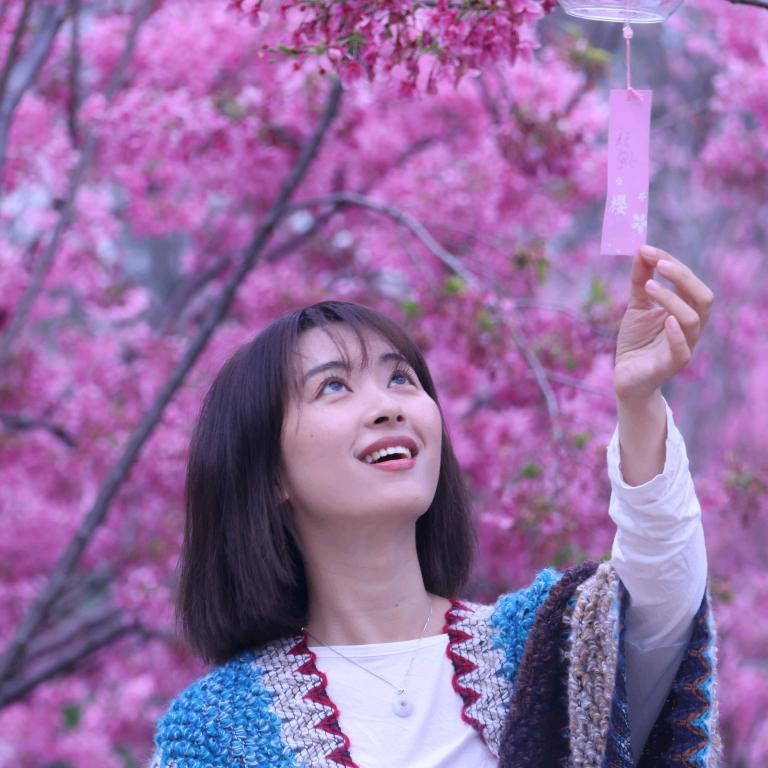 哈乐